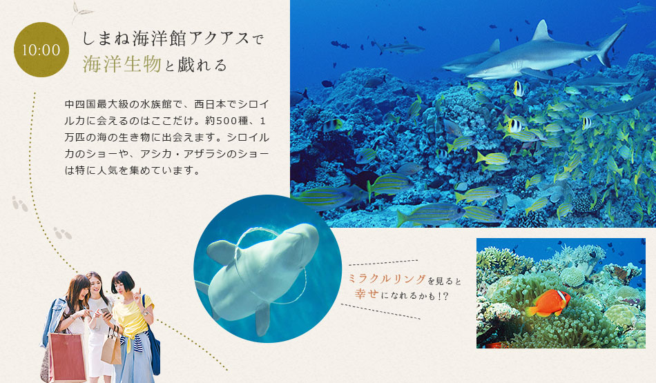 しまね海洋館アクアスで海洋生物と戯れる